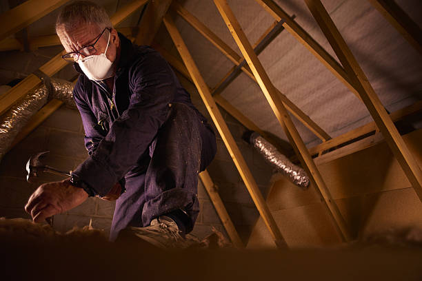 Best Crawl Space Insulation  in North Boston, NY